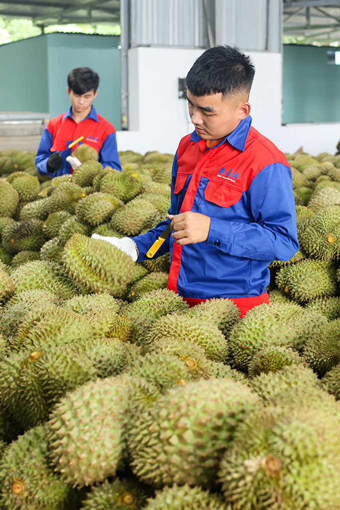 HÌNH ẢNH HOẠT ĐỘNG 3