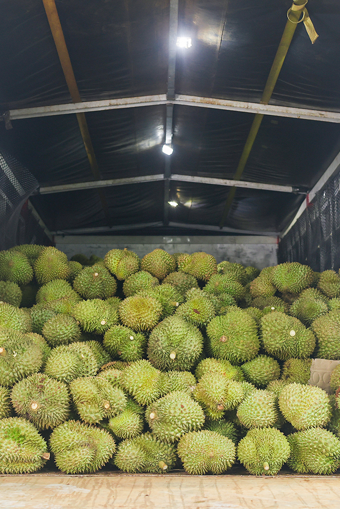 HÌNH ẢNH HOẠT ĐỘNG 1