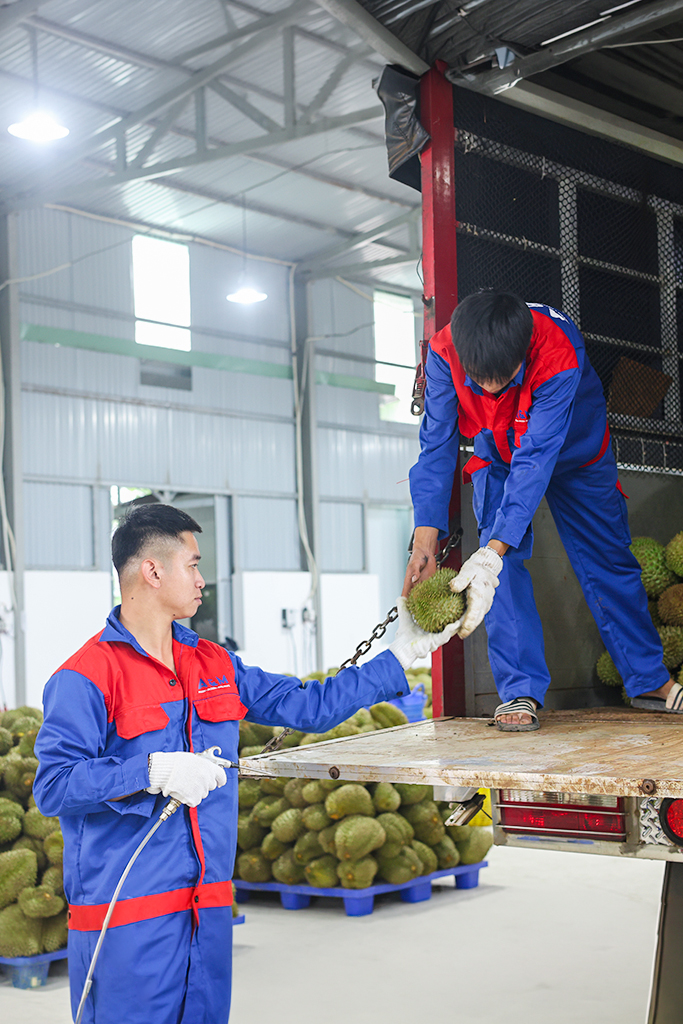 hình ảnh hoạt động 11