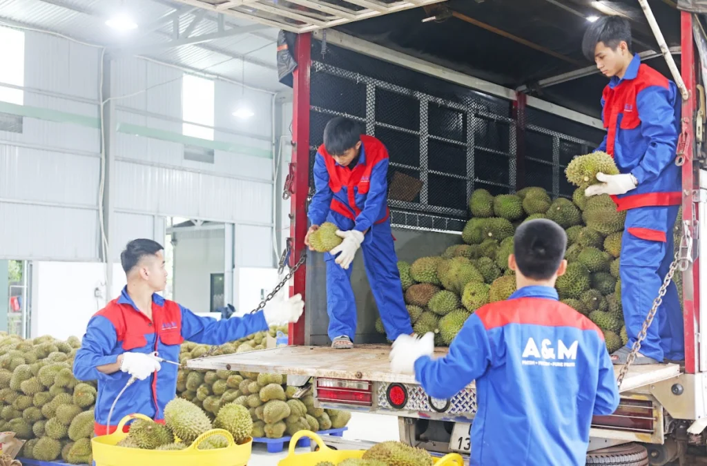 hình ảnh hoạt động 11