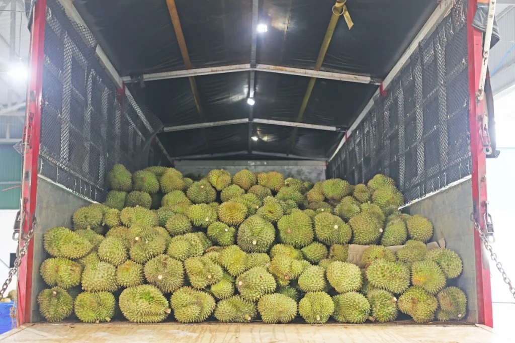 HÌNH ẢNH HOẠT ĐỘNG 1