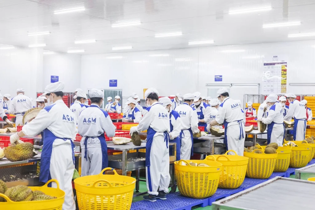 HÌNH ẢNH HOẠT ĐỘNG 5