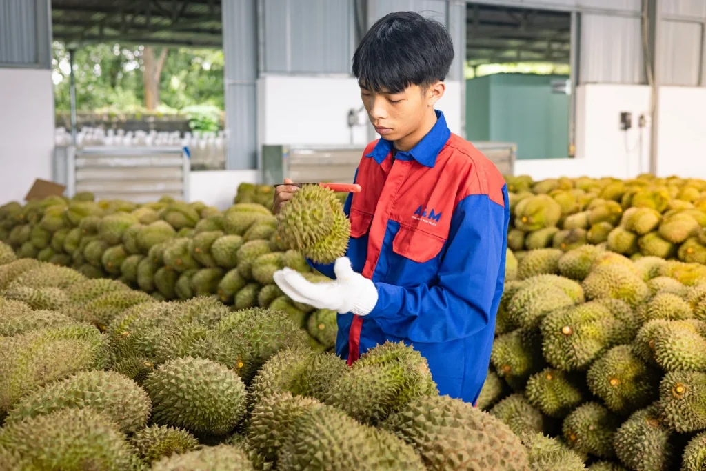 HÌNH ẢNH HOẠT ĐỘNG 3