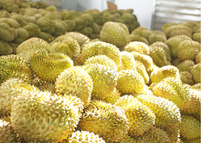 Sầu riêng thu mua tại Việt Nam