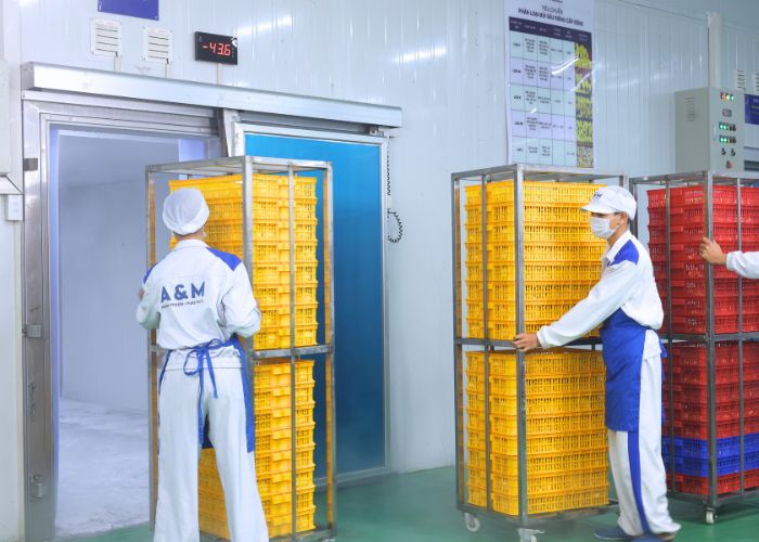 Sầu riêng được đưa vào kho cấp đông